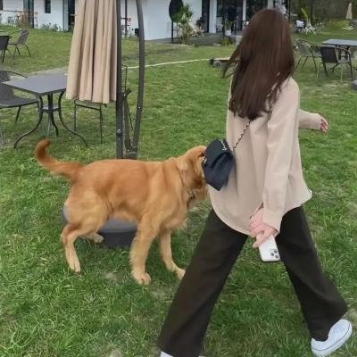 傻傻爱